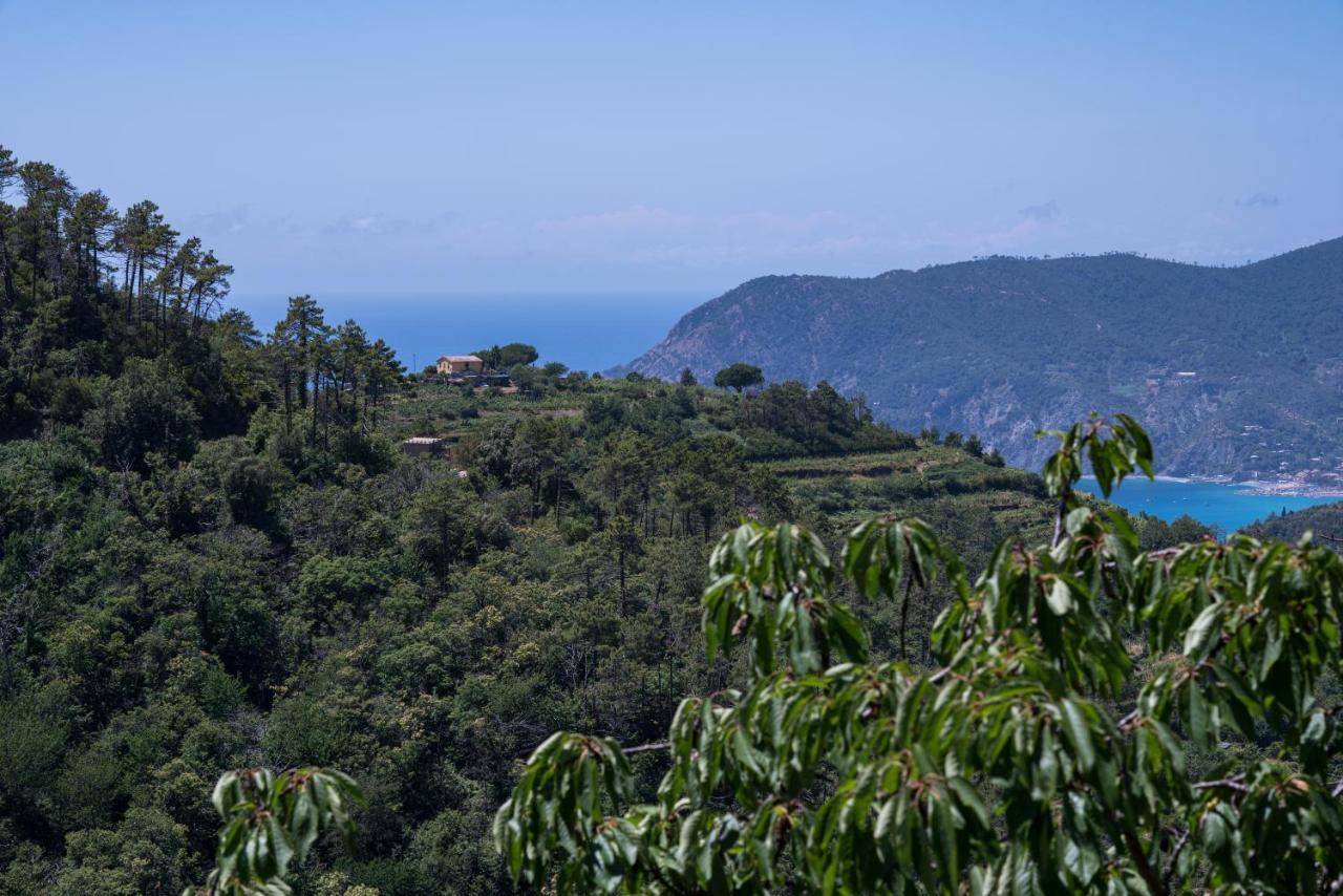 Ca Du Venuto 1, Terremarine Villa Vernazza Kültér fotó